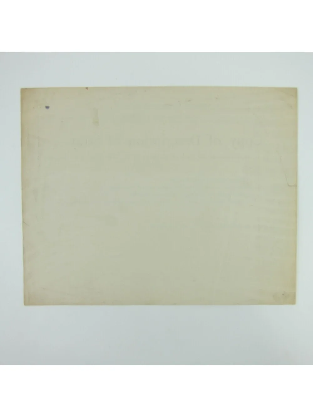 Antique 1880s Ohio Copy of Description of Stray Police Record Form Blank RARE